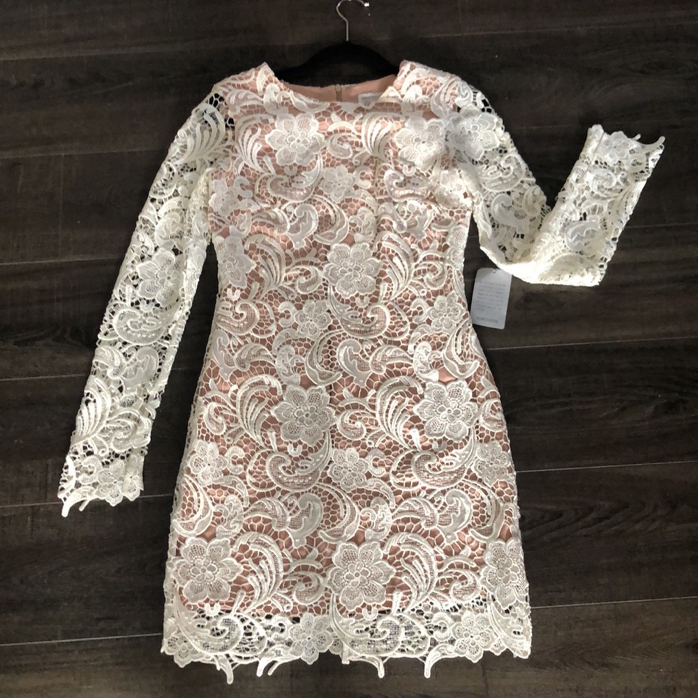 NWT DRESS THE POPULATION Lace Dress (S) - Ivory - Picture 2 of 14